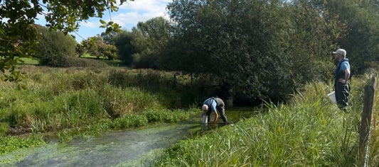 Finding balance in the Candover Brook: where wine meets water