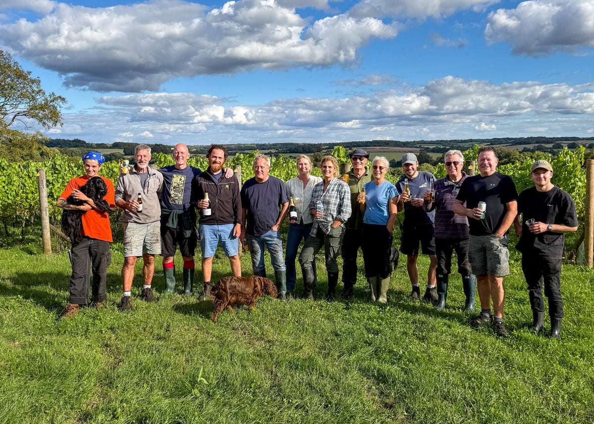 The vineyard team standing together in the Candover Brook vineyard, holding wine glasses, with a small brown dog in the grass in front of them. The background features green grapevines, a tree, and a blue sky 